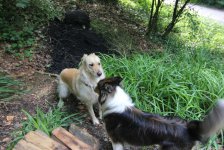 53_gc_stammtisch_35_20150506